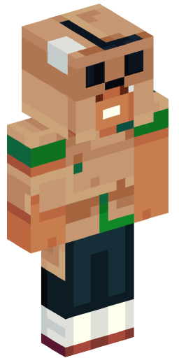 Minecraft Skin #221691