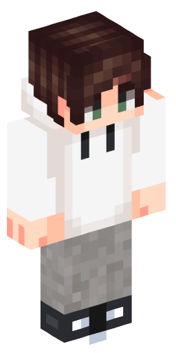 Minecraft Skin #221809
