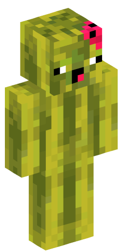 MelonenBoy Minecraft Skin Preview on Minecraft.Co.Com