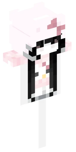 Minecraft Skin #222022