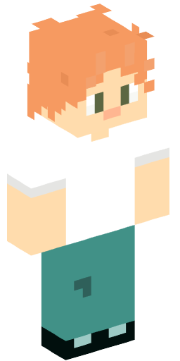 Minecraft Skin #222046