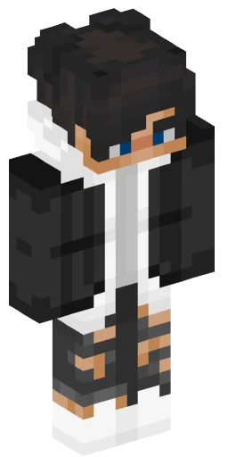 Minecraft Skin #222068
