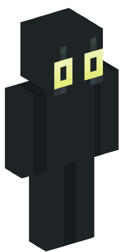 Minecraft Skin #222121
