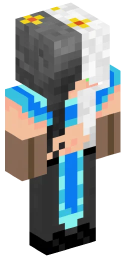 Minecraft Skin #222213