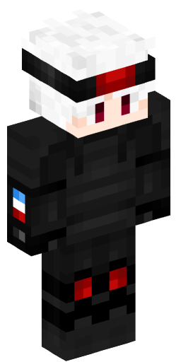 Minecraft Skin #222220