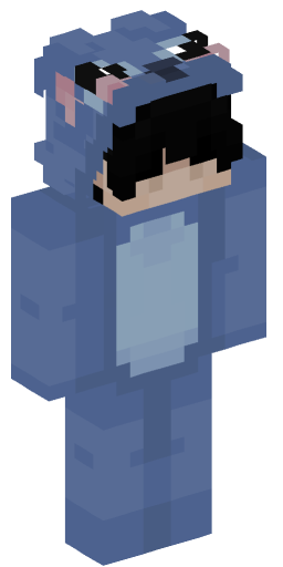 Minecraft Skin #222233