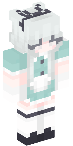 Minecraft Skin #222330