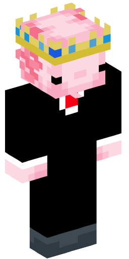 Minecraft Skin #222376