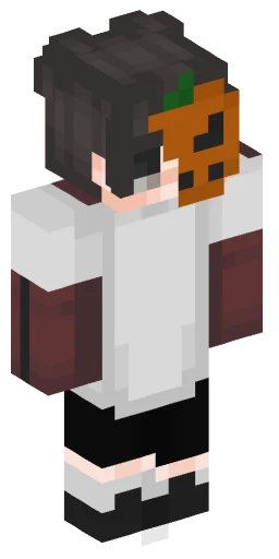Minecraft Skin #222457