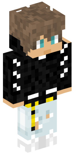 Minecraft Skin #222516