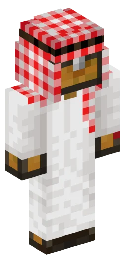 Minecraft Skin #222519