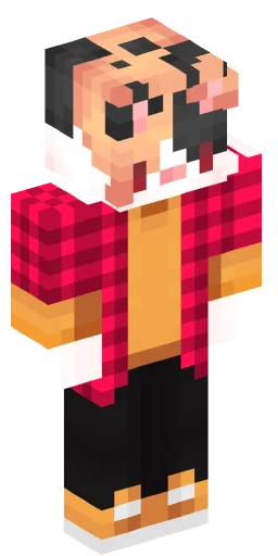 Minecraft Skin #222551