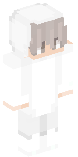 Minecraft Skin #222623
