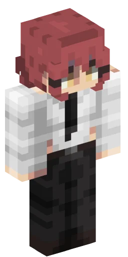 Minecraft Skin #222728