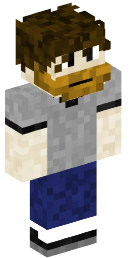 Minecraft Skin #223100