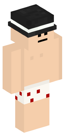Minecraft Skin #223116