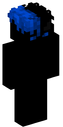 Minecraft Skin #223211