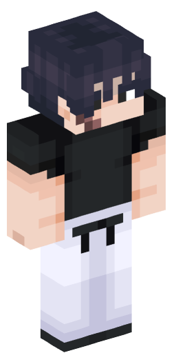 Minecraft Skin #223219