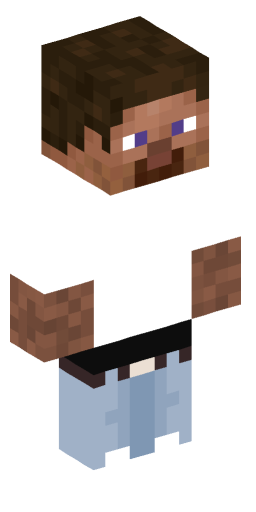 Minecraft Skin #223249
