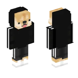 Minecraft Skin #223325