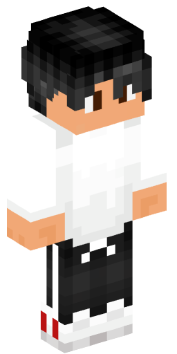 Minecraft Skin #223355