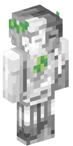 Minecraft Skin #223512