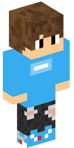 Minecraft Skin #223709