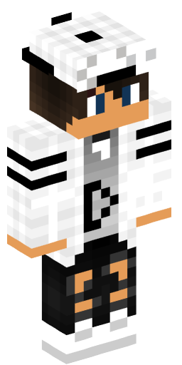 Minecraft Skin #223996