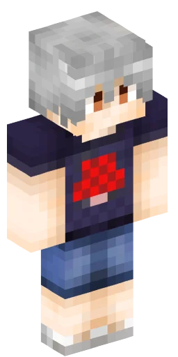 Minecraft Skin #224132