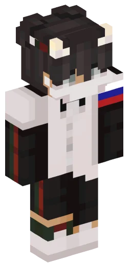 Minecraft Skin #224867