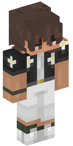 Minecraft Skin #224990