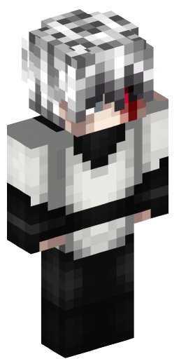Minecraft Skin #229598
