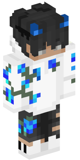 Minecraft Skin #230307