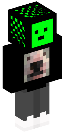 Minecraft Skin #230697