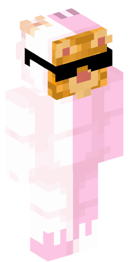 Minecraft Skin #231220