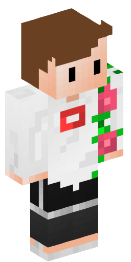 Minecraft Skin #231347