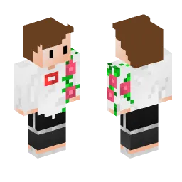 Minecraft Skin #231347