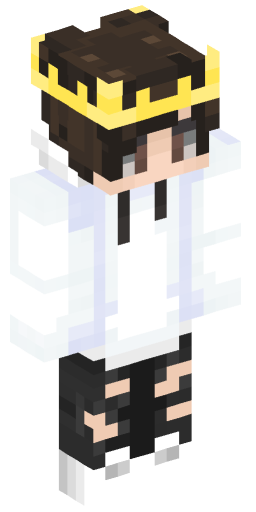 Minecraft Skin #231822