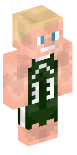 Minecraft Skin #231855