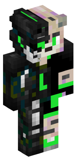 Minecraft Skin #231903