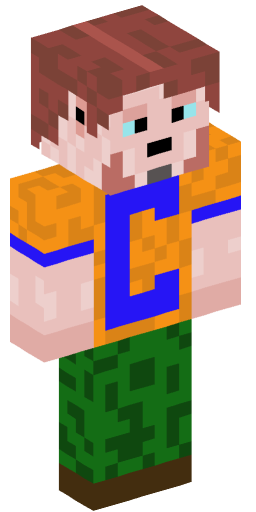Minecraft Skin #231911