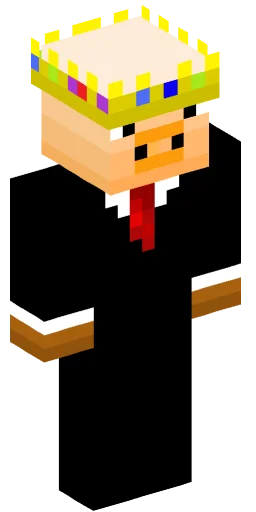 Minecraft Skin #231918