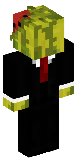 Minecraft Skin #232211