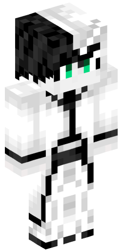 Minecraft Skin #232214