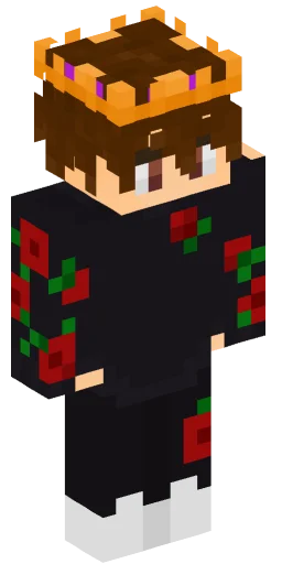 Minecraft Skin #232218