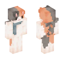 Minecraft Skin #232719
