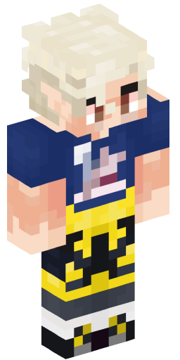 Minecraft Skin #233316