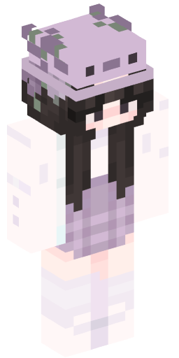 Minecraft Skin #233344