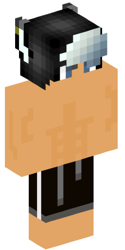 Minecraft Skin #233371