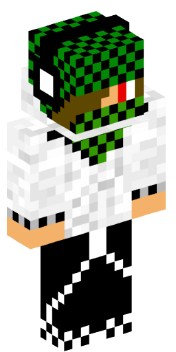 Minecraft Skin #233627